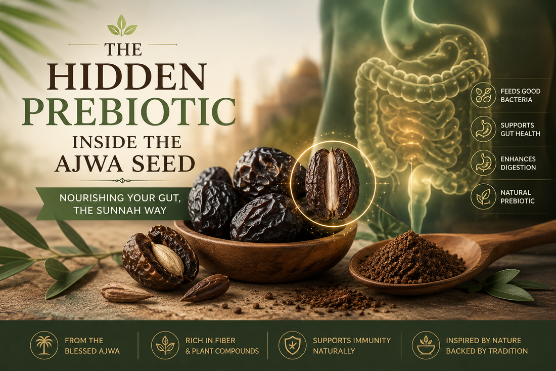 The Hidden Prebiotic Inside the Ajwa Seed