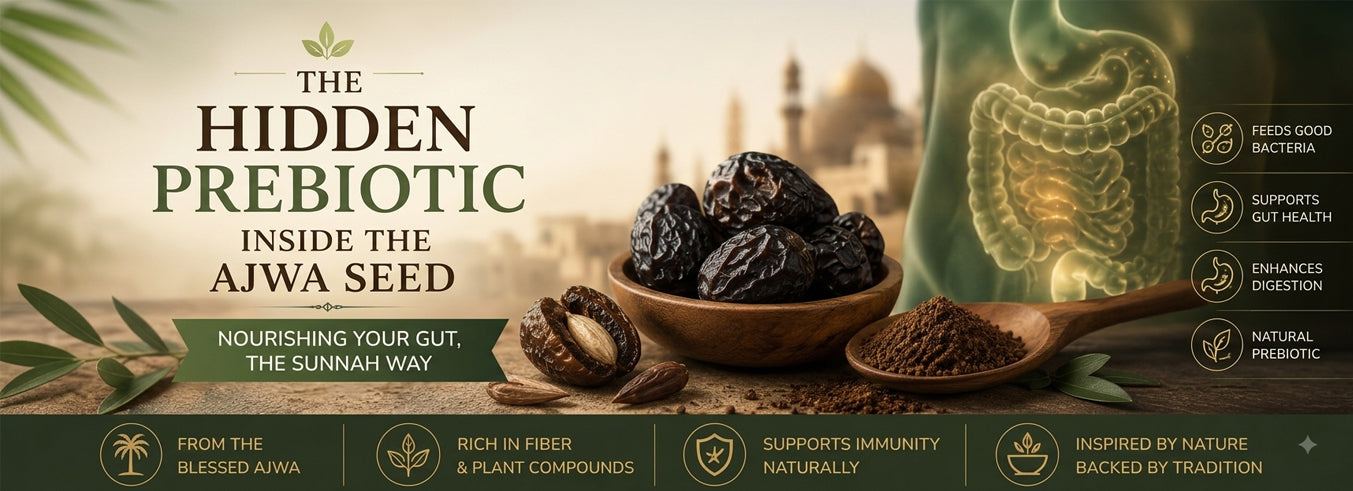 Shifa e Ajwa prebiotic information